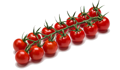 Mini-cherry-vine-tomateos