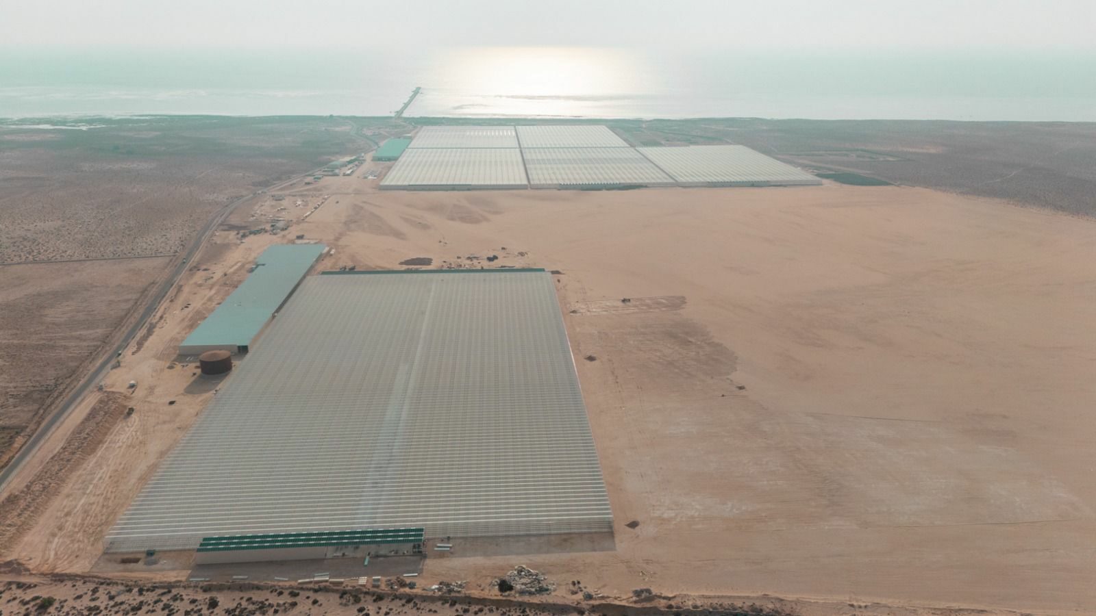 WhatsApp Image 2026-03-06 at 22.21.13