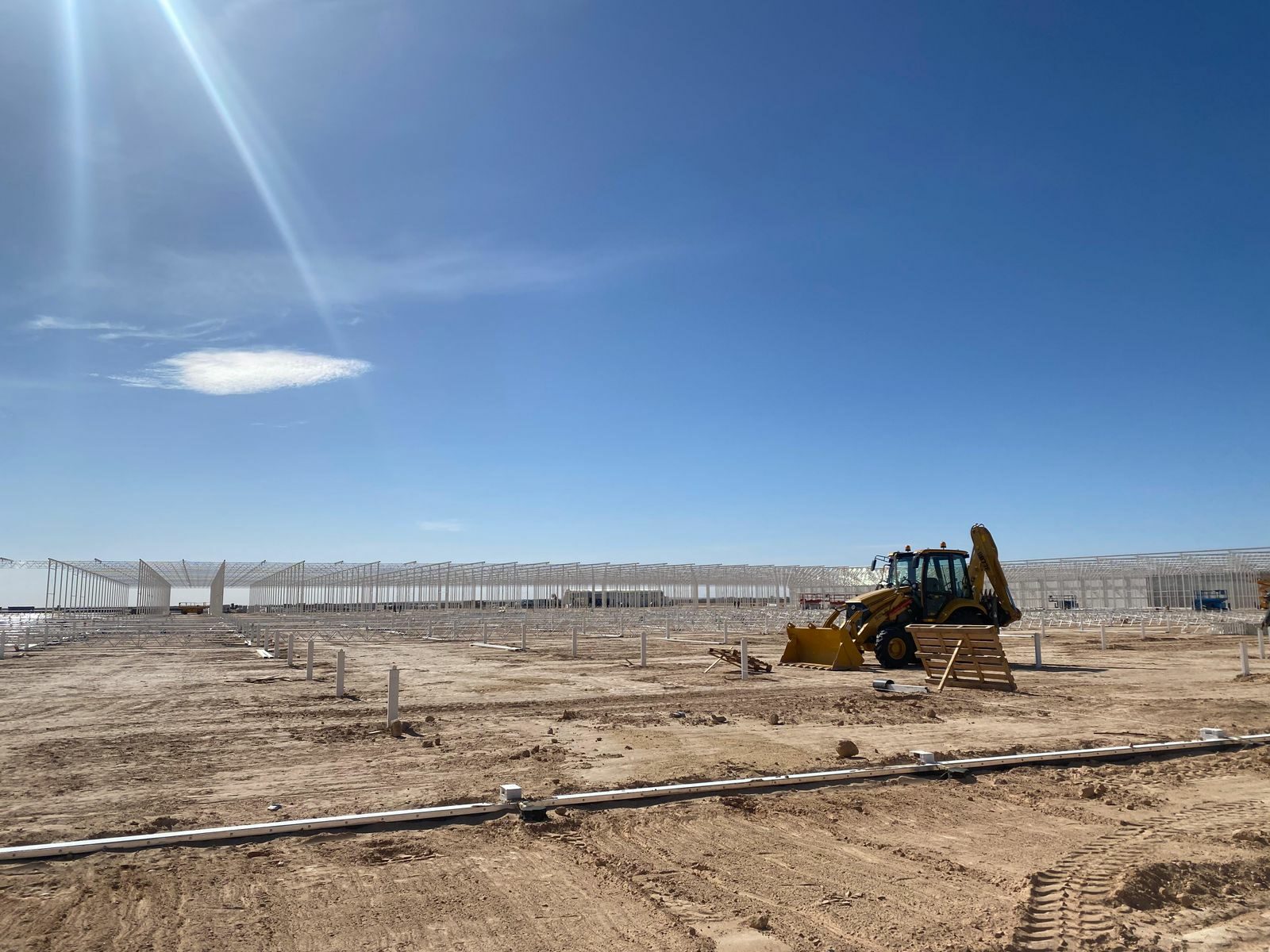 WhatsApp Image 2026-03-06 at 22.28.41